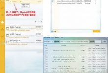 Mydm下载器 v20180715 可能比迅雷好用的BT种子下载工具-系统迷