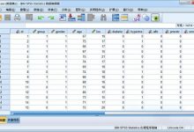 IBM SPSS Statistics v25.0.0.1 中文破解版 统计学数据分析软件-系统迷