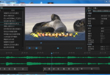 Sayatoo傻丫头字幕精灵 v2.2.0 完美破解版 卡拉视频字幕制作软件-系统迷