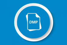 dmp文件是什么-系统迷