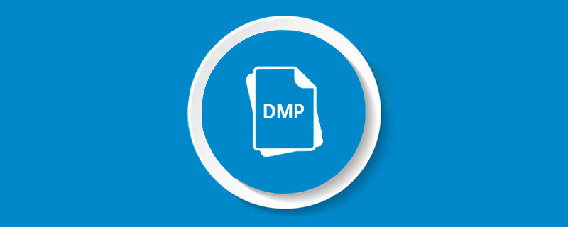 dmp文件是什么