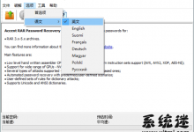 rar密码破解工具 汉化绿色版 压缩文件密码暴力破解软件-系统迷
