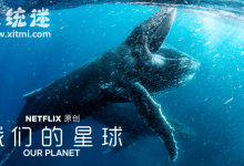 我们的星球纪录片 推荐观看1080P高清 豆瓣9.8分-系统迷