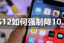 ios12如何强制降10.3.3-系统迷
