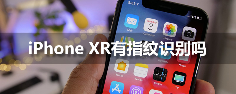 iphone xr有指纹识别吗