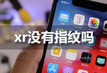 xr没有指纹吗-系统迷