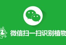 微信扫一扫识别植物-系统迷