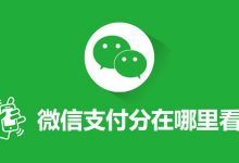 微信支付分在哪里看-系统迷