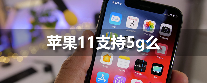 苹果11支持5g么