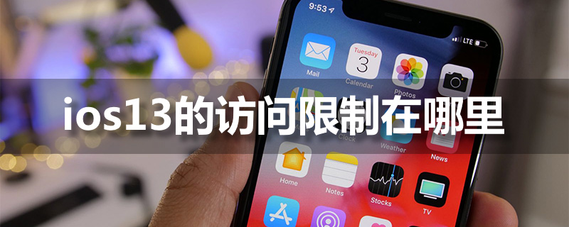 ios13的访问限制在哪里