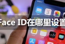 faceid在哪里设置-系统迷