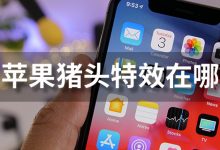 苹果猪头特效在哪-系统迷