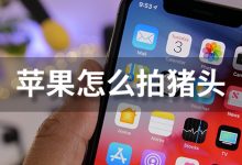 苹果怎么拍猪头-系统迷