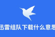 迅雷组队下载什么意思-系统迷