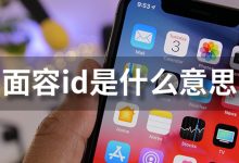 面容id是什么意思-系统迷