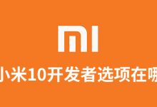 小米10开发者选项在哪-系统迷