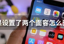 苹果设置了两个面容怎么删除-系统迷