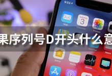 苹果序列号d开头什么意思-系统迷