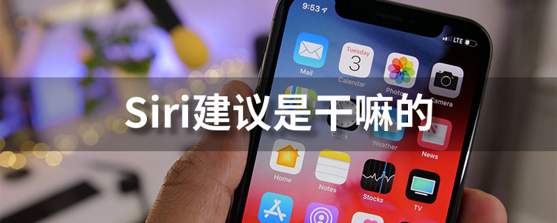 siri建议是干嘛的