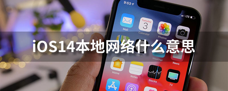 ios14本地网络什么意思