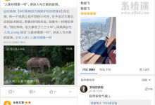See微博客户端 v2.0.1 免费版下载 第三方微博无广告app-系统迷