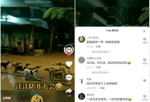 抖音短视频下载 v16.4.8 谷歌play商店版 无广告无更新提示-系统迷