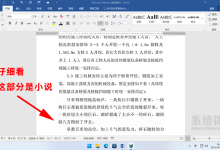 Reader电子阅读器 v2.0.0.4 最新版 电脑上班看小说摸鱼神器-系统迷