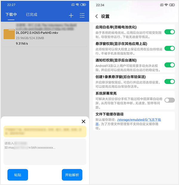 飞流下载器