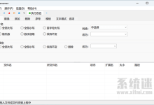 zRenamer下载 v1.4 中文版 文件名批量改名替换工具-系统迷