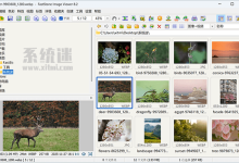 FastStone Image Viewer下载 v8.2.0 免费版 电脑图片浏览器-系统迷