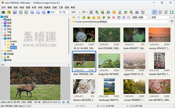 FastStone Image Viewer